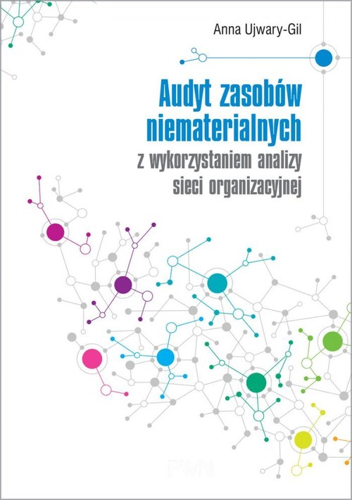 Image of Audyt zasobów niematerialnych z wykorzystaniem analizy sieci organizacyjnej