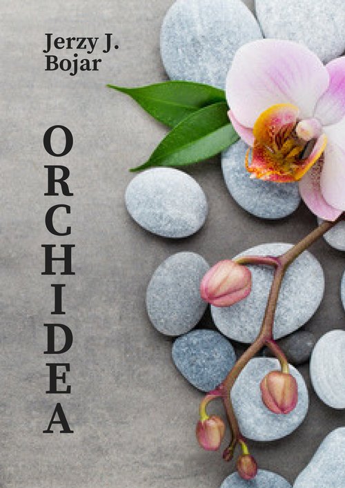 Image of Orchidea