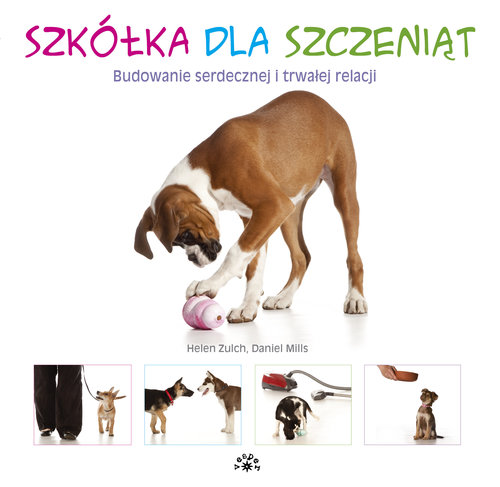 Image of Szkółka dla szczeniąt Budowanie serdecznej i trwałej relacji