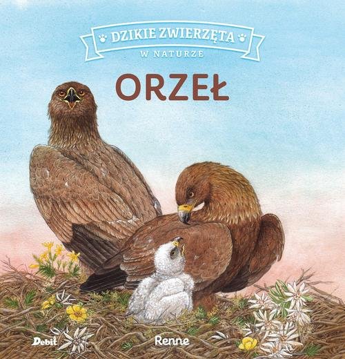 Image of Dzikie zwierzęta w naturze Orzeł