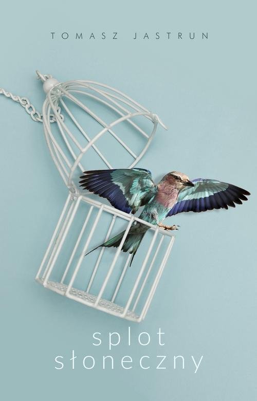 Image of Splot słoneczny