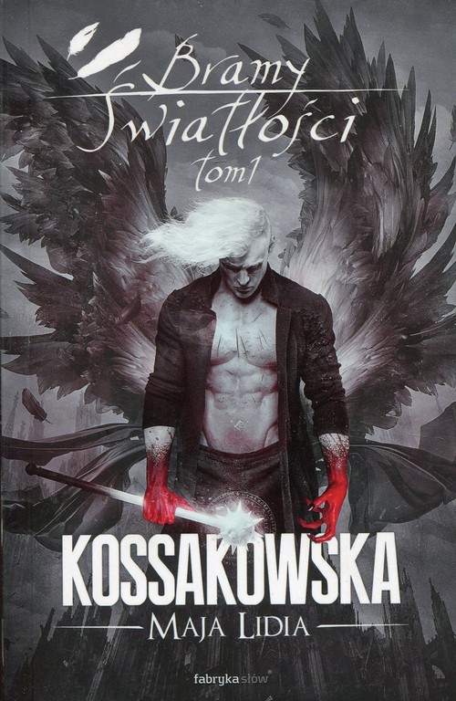 Image of Bramy Światłości Tom 1