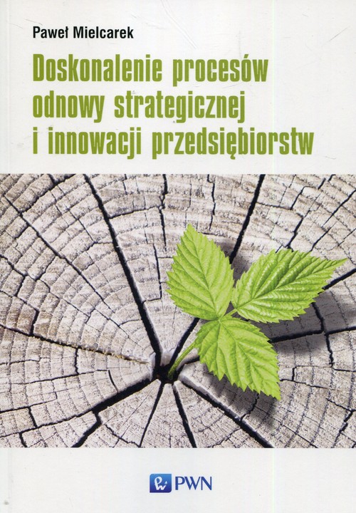 Image of Doskonalenie procesów odnowy strategicznej i innowacji przedsiębiorstw