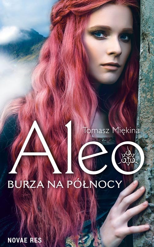 Image of ALEO Burza na północy