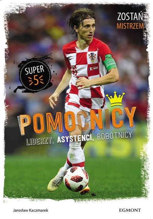 Image of Pomocnicy Liderzy asystenci robotnicy