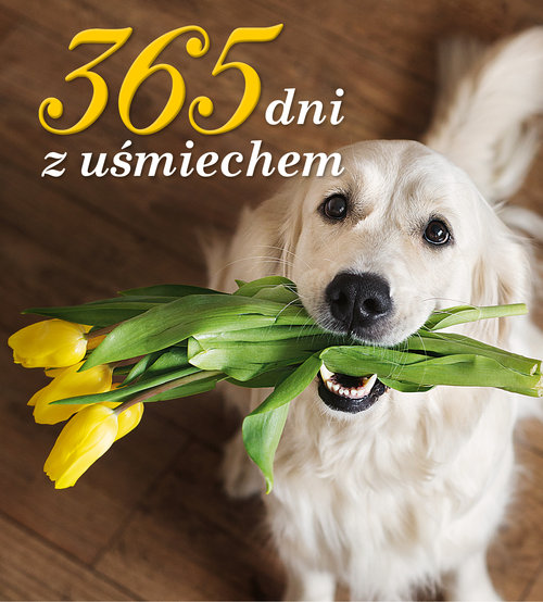 Image of 365 dni z uśmiechem