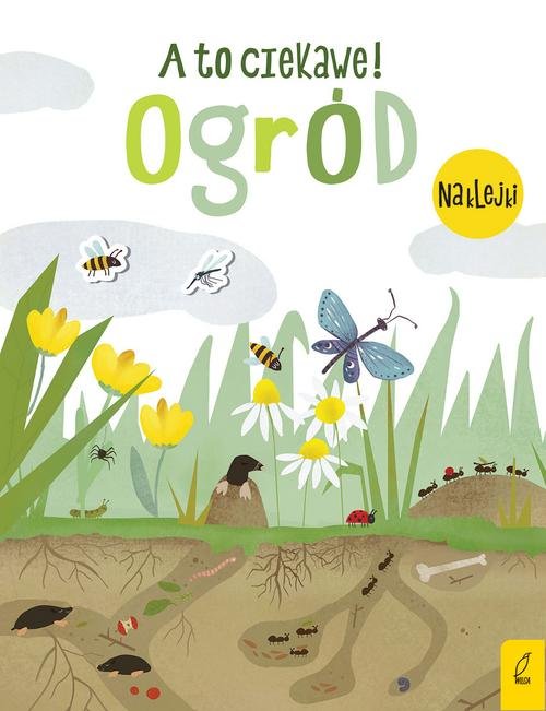 Image of A to ciekawe! Ogród