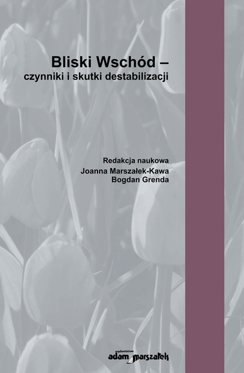 Image of Bliski Wschód - czynniki i skutki destabilizacji