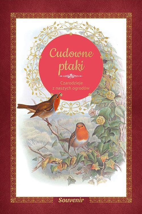 Image of Cudowne ptaki Czarodzieje z naszych ogrodów