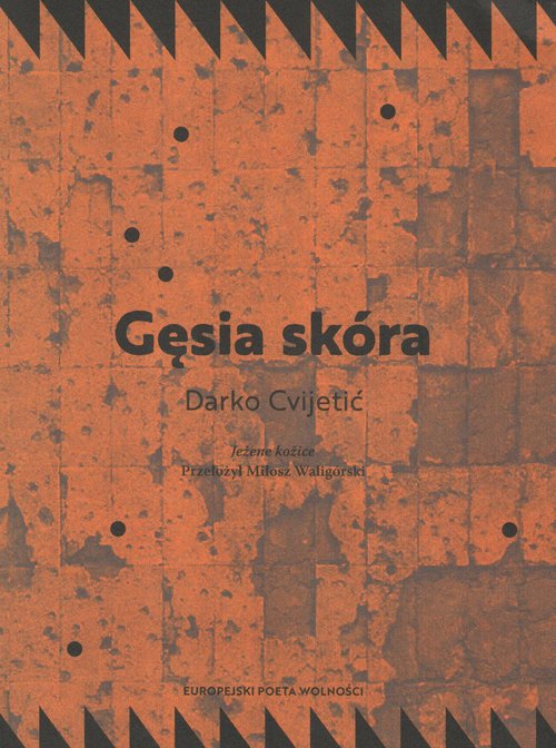 Image of Gęsia skóra