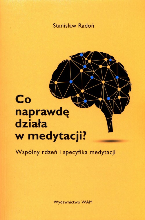Image of Co naprawdę działa w medytacji? Wspólny rdzeń i specyfika medytacji