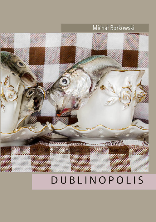 Image of Dublinopolis