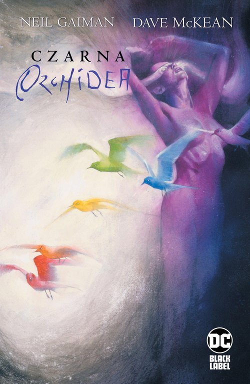 Image of Czarna orchidea