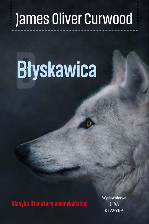 Image of Błyskawica