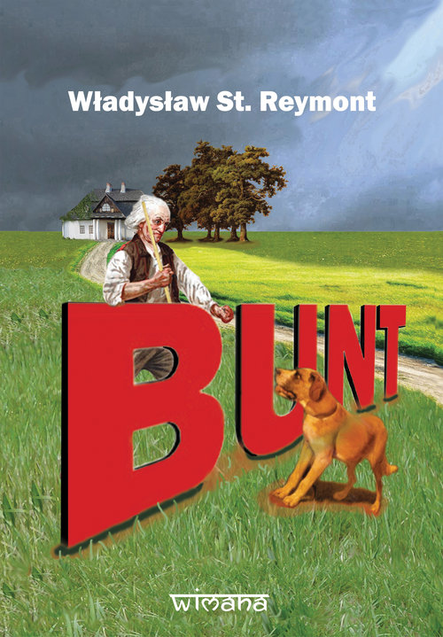 Image of Bunt baśń