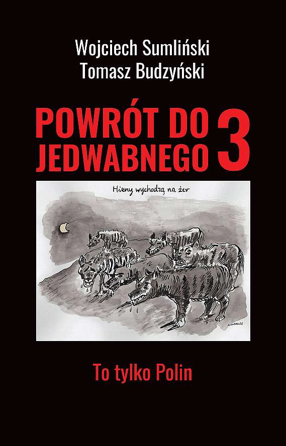 Image of Powrót do Jedwabnego 3. To tylko Polin