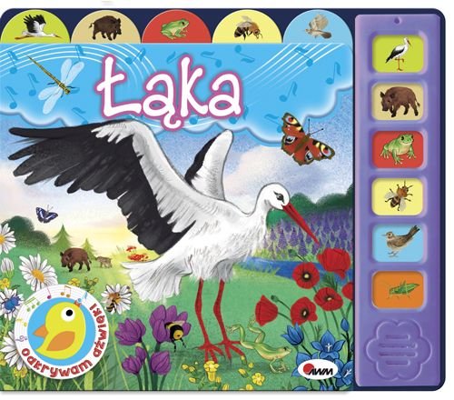 Image of Odkrywam dźwięki Łąka