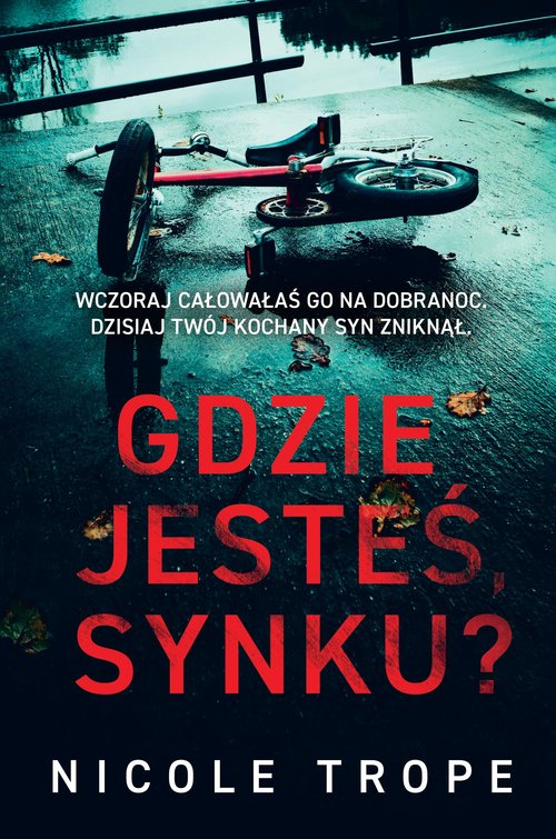 Image of Gdzie jesteś synku?