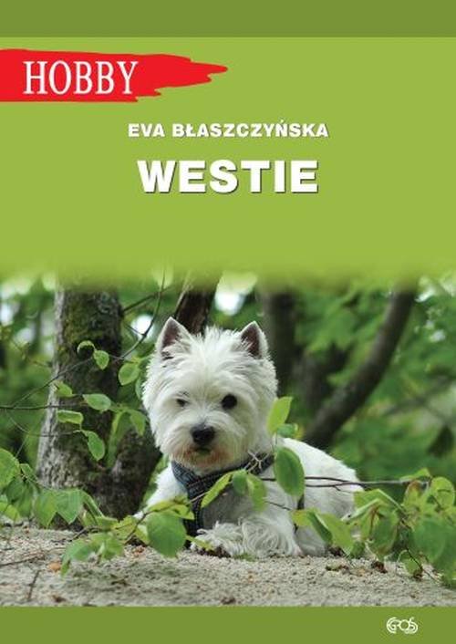 Image of Westie West highland white terrier