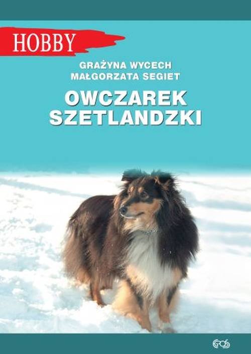 Image of Owczarek szetlandzki