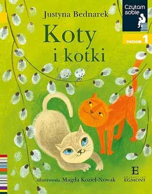 Image of Czytam sobie Koty i kotki Poziom 1