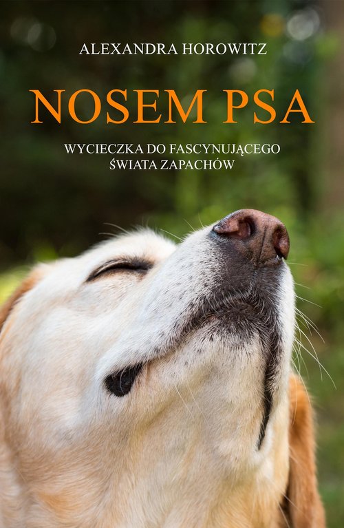 Image of Nosem psa Wycieczka do fascynującego świata zapachów