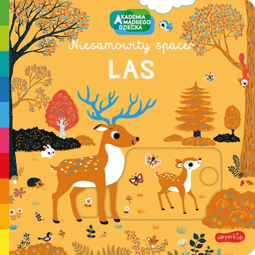 Image of Las Akademia mądrego dziecka Niesamowity spacer