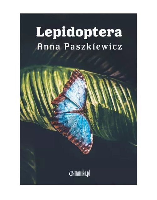 Image of Lepidoptera