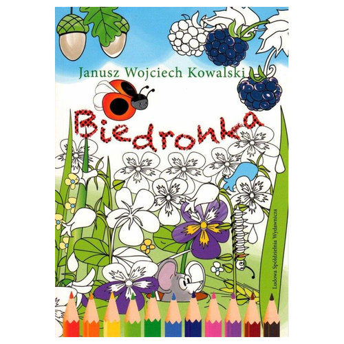 Image of Biedronka
