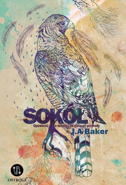 Image of Sokół Opowieść o miłości do ginącej przyrody