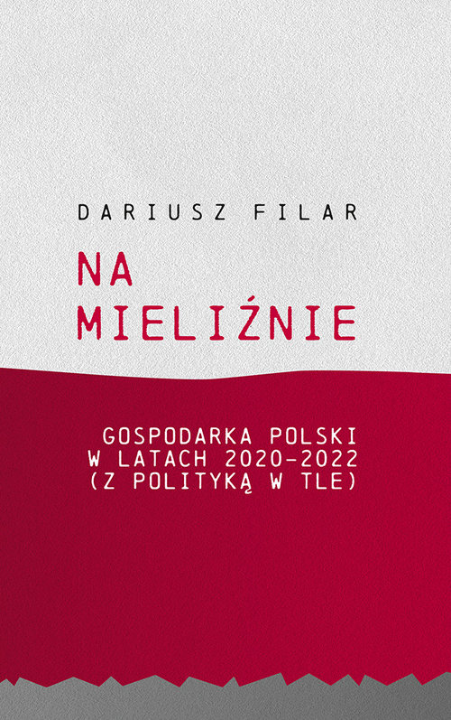 Image of Na mieliźnie Gospodarka Polski w latach 2020-2022 (z polityką w tle)