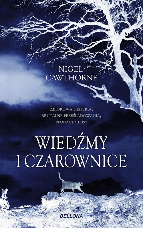 Image of Wiedźmy i czarownice