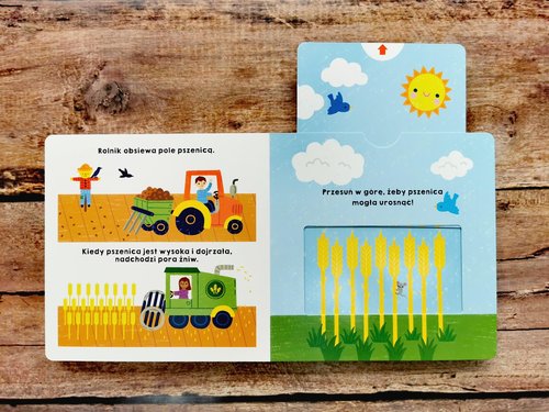 Image of Spójrz, jak rosnę! Akademia mądrego dziecka Mój świat