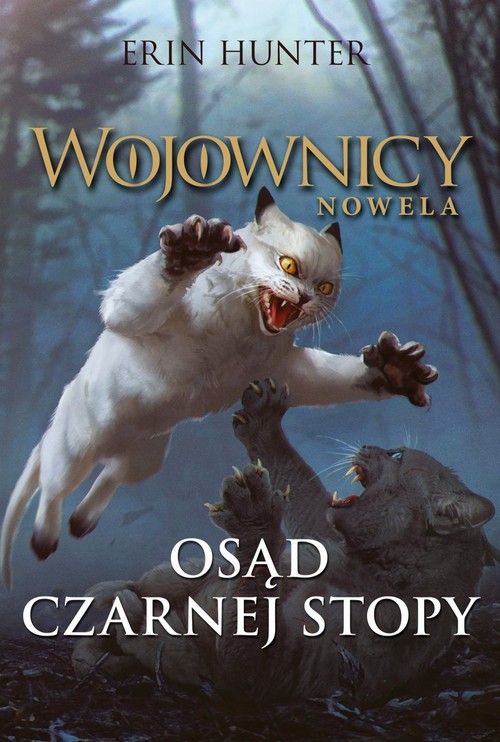 Image of Osąd Czarnej Stopy Wojownicy. Nowela