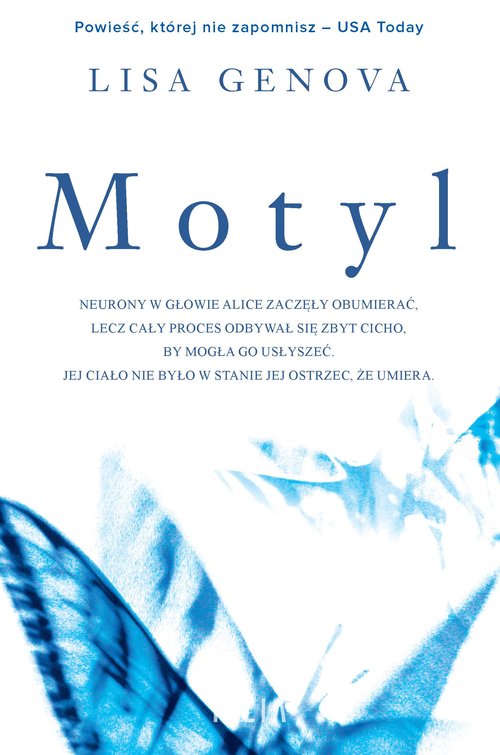 Image of Motyl
