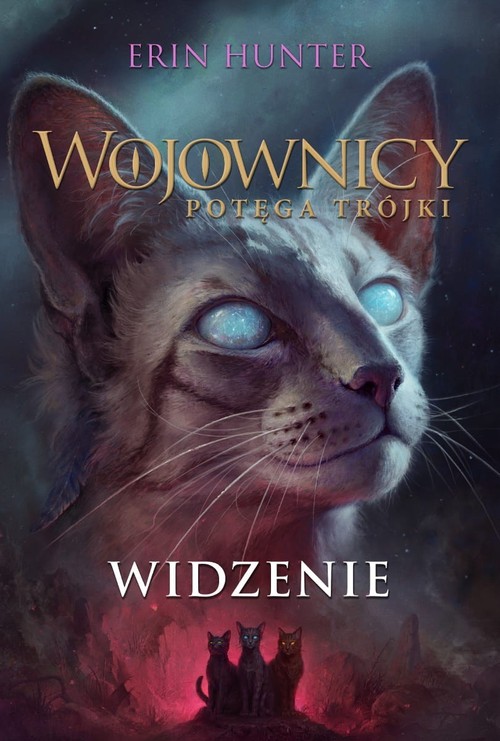 Image of Wojownicy Potęga trójki Widzenie