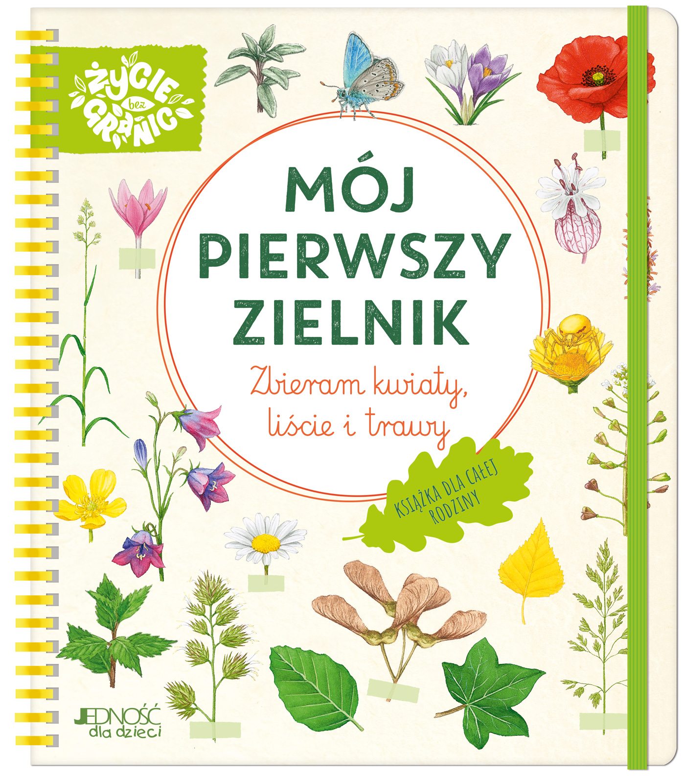 Image of Mój pierwszy zielnik. Zbieram kwiaty, liście i trawy
