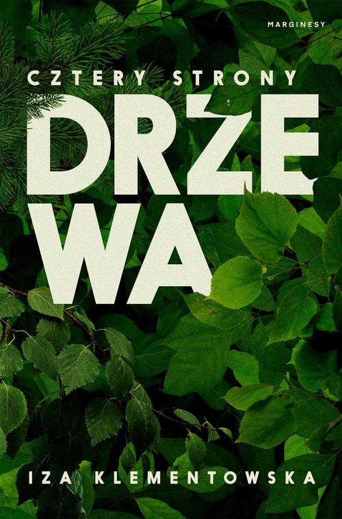 Image of Cztery strony drzewa