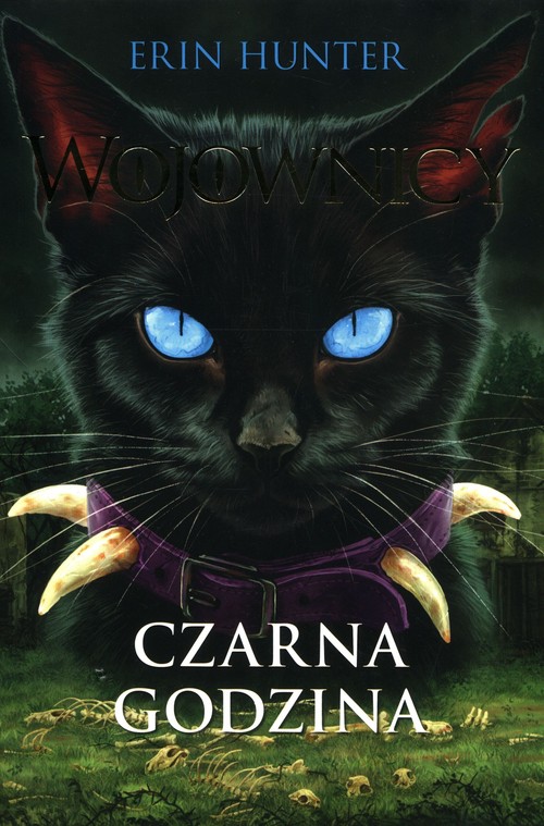 Image of Wojownicy Tom 6 Czarna godzina