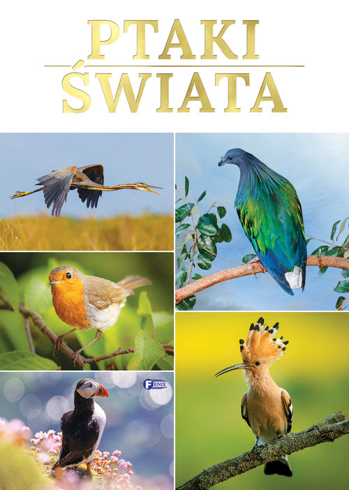 Image of Ptaki świata