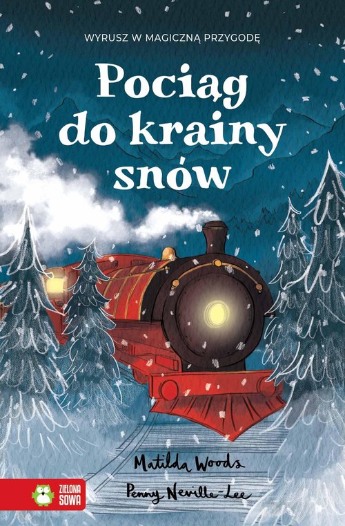 Image of Pociąg do krainy snów