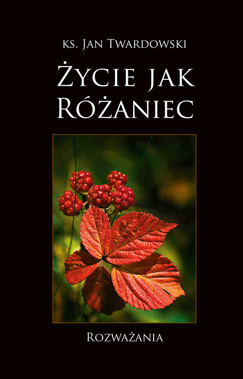 Image of Życie jak różaniec Rozważania