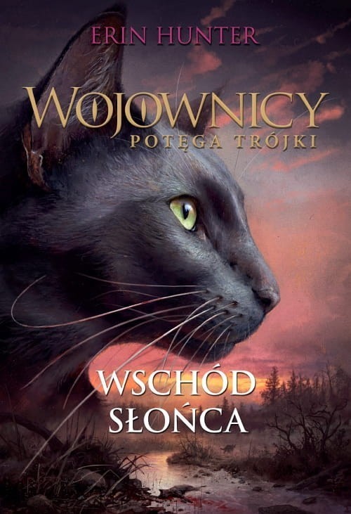 Image of Wojownicy Potęg trójki Wschód słońca