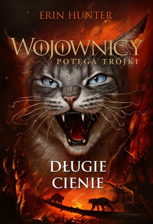 Image of Wojownicy Potęfa trójki Długie cienie