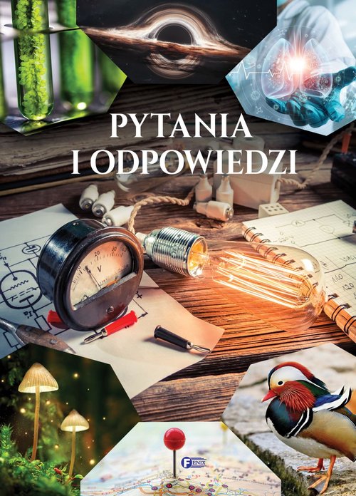 Image of Pytania i odpowiedzi