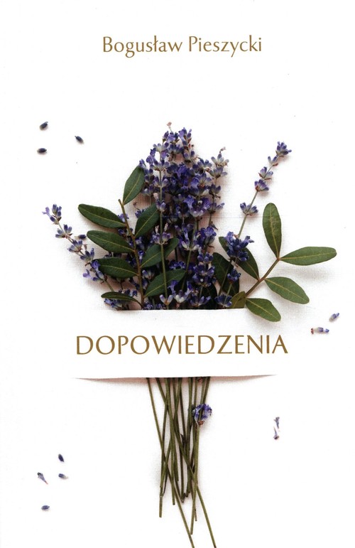 Image of Dopowiedzenia