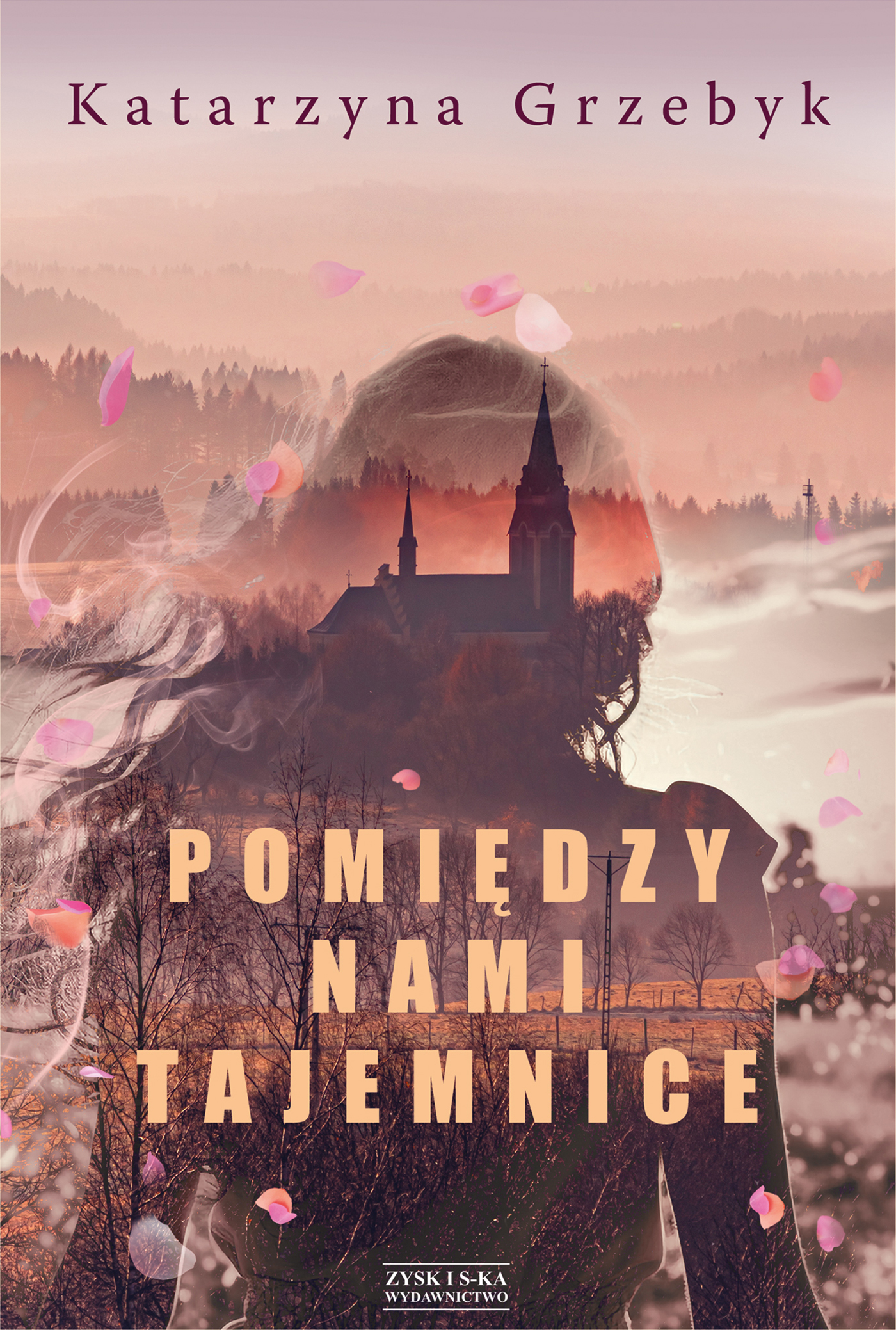 Image of Pomiędzy nami tajemnice