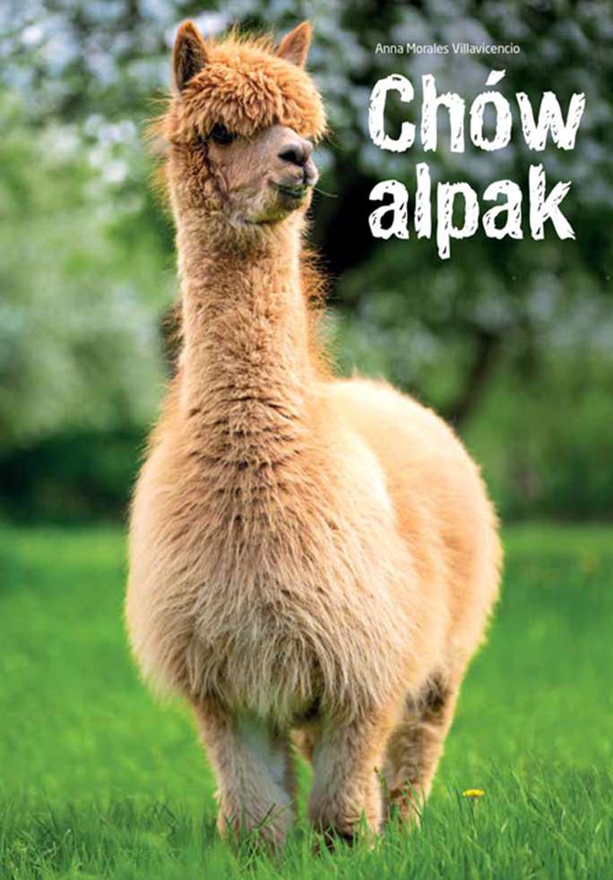 Image of Chów alpak