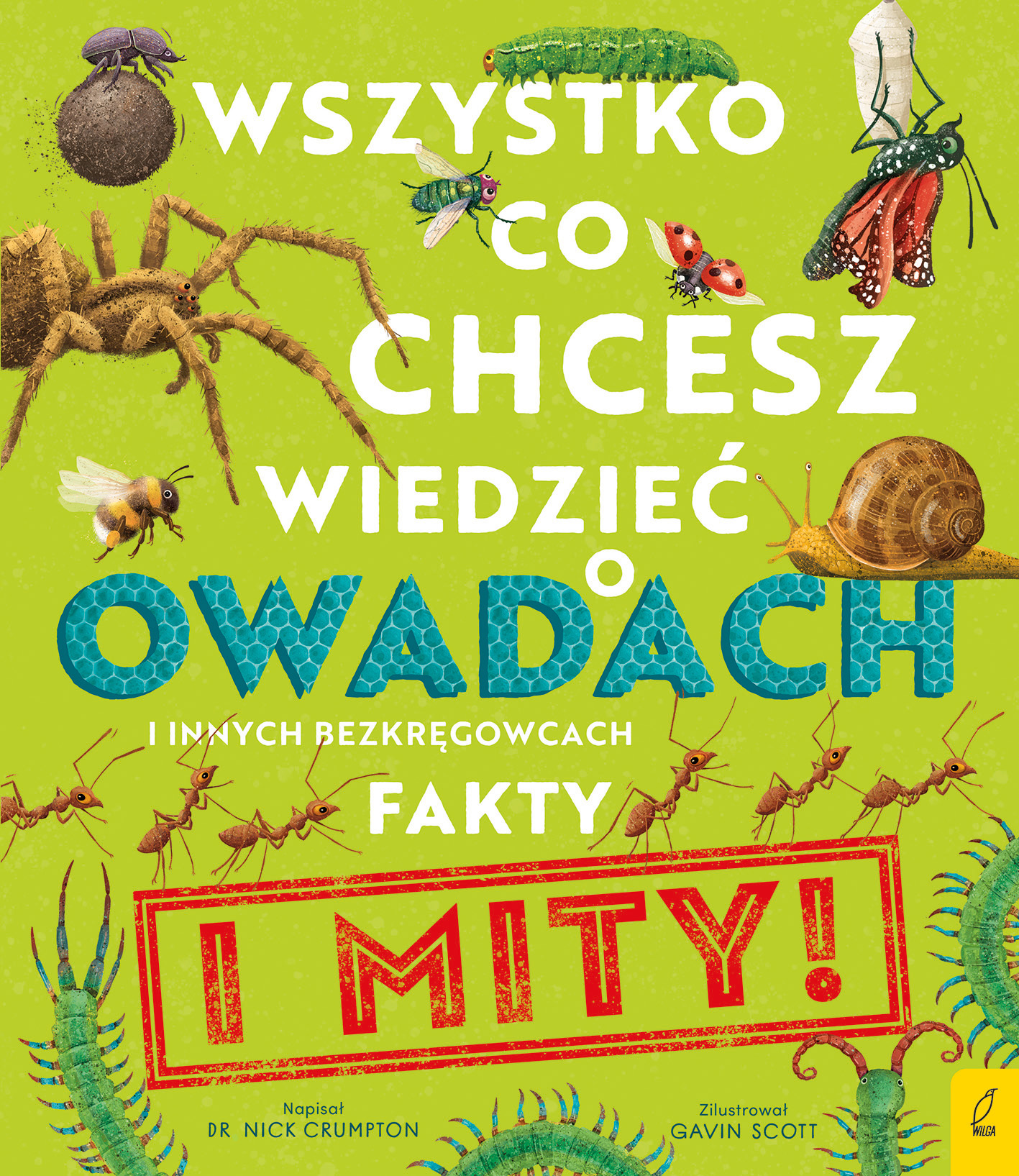 Image of Wszystko co chcesz wiedzieć o owadach i innych bezkręgowcach Fakty i mity