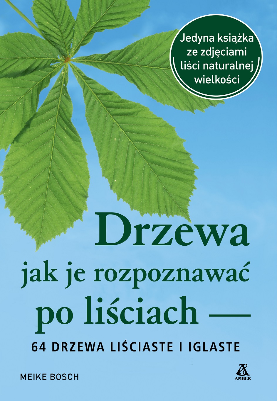 Image of Drzewa - jak je rozpoznawać po liściach